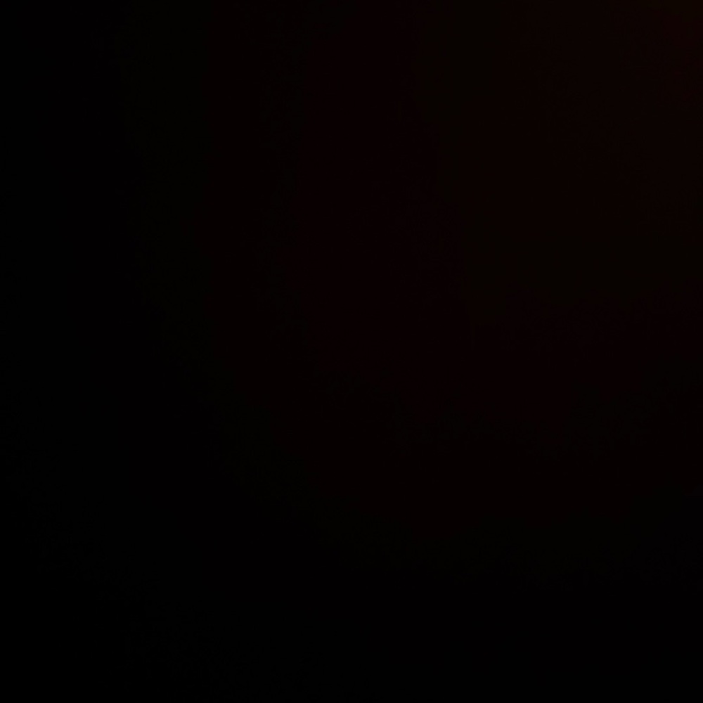 Blank